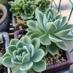 深夜心酸无奈的一句话