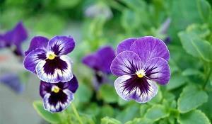 关于奋斗励志句子70句