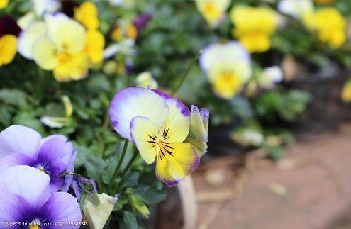 高考励志经典句子文案2021年精选61句