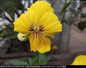 出门在外打工想家想孩子的句子摘录16句