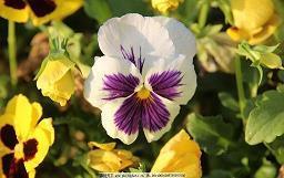 2021年立冬的唯美文案句子(精选89句)