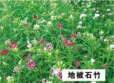 时光静好陪你长大唯美句子 孩子生日发朋友圈的句子简短文艺