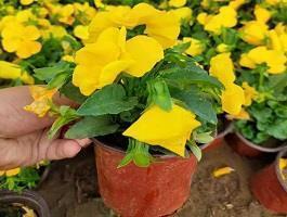 干净简短的励志句子 心灵鸡汤经典语录励志