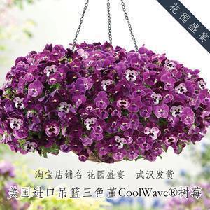 低调发朋友圈公开男朋友的说说 朋友圈低调秀男朋友的句子57句
