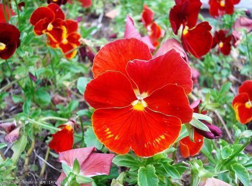 品读二十四节气之雨水的古诗词