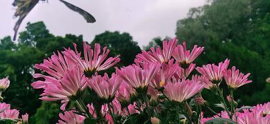 关于八月的唯美句子集锦