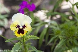 立冬简短祝福句子最新2021年(精选83句)