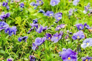 让男孩开心的句子说说心情