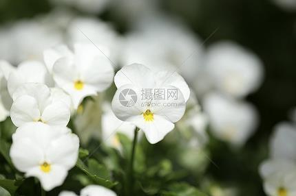 2021给高考学子加油的祝福语文案
