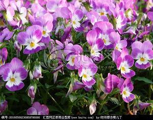 感情失败的句子说说心情