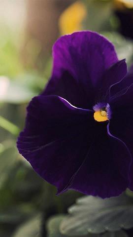 被温暖感动的句子 带来温暖的句子(精选30句)