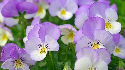 语言精彩幽默搞笑有创意广告词大全