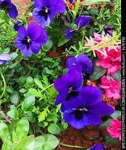 2021教师节感恩教师的句子(精选73句)