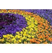 发朋友圈晚安短句精选30句