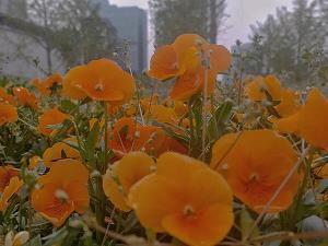 关于过年后第一天上班感受句子 年后第一天上班心情说说