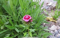 晚安心语 很现实的人生感悟说说汇总39句