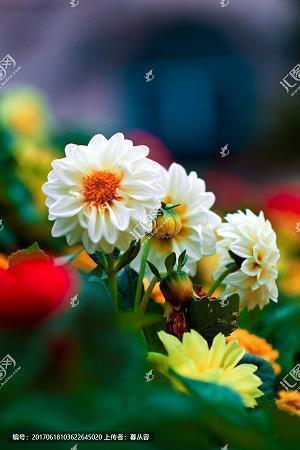 2021祝自己生日快乐的句子发朋友圈