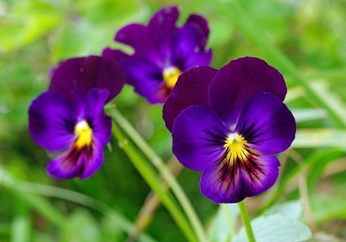 简短文艺小清新文案 快手文案吸引人的一句