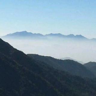 雨后早晨空气清新的句子(精选27句)