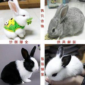 适合睡前的干净朋友圈 晚安文案短句可爱(精选56句)