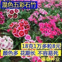 重阳节敬老人的诗句 重阳节诗句大全祝福语(精选49句)