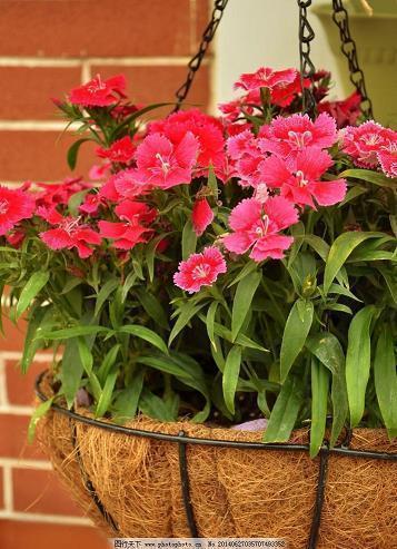 简短的高级情话 有内涵高端的浪漫句子