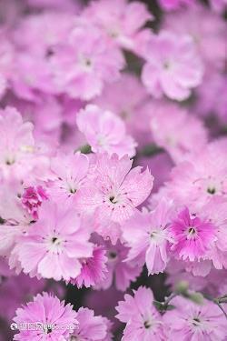 妈妈对孩子自责愧疚语录22句