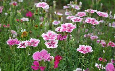 朋友圈励志句子(86句)