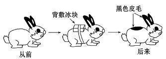 有时候控制不住自己的情绪的说说(精选29句)