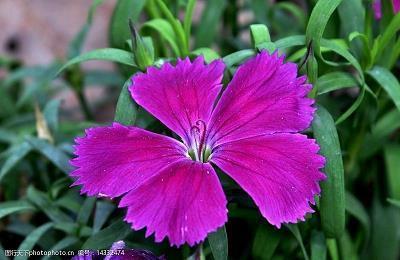 描写冬至的唯美句子(精选77句)