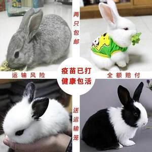 适合做个性签名的句子简短集合20句