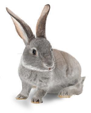 离婚前最想说的话