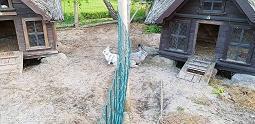 理想和友情的感悟的句子13句