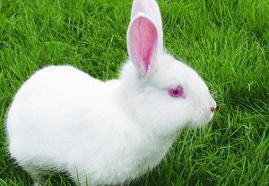 表述思念情人的句子合集68句