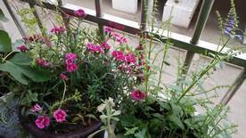 爱我就别想太多台词大全 爱我就别想太多经典语录