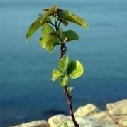 让人受益匪浅的文案句子