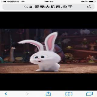 关于心怀理想的句子汇总85句