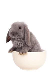 90后已不再年轻的句子短句(精选30句)