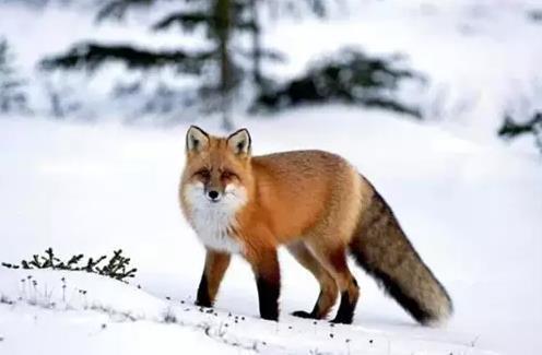 简短开学第一天寄语 开学第一天老师对学生说的话(精选59句)