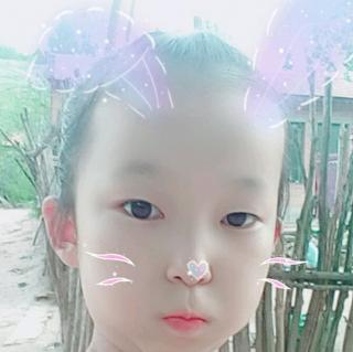 甜蜜晚安问候语 晚安问候语温馨短语汇总80句
