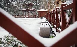 励志努力的句子正能量短句汇编53句