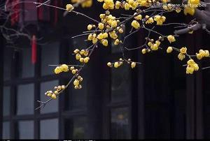 迎接十月您好热门句子简单大全(精选82句)