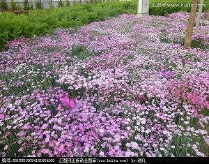 正能量满满的励志句子推荐35句