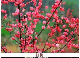 面对困难的句子97句
