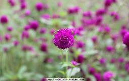 练字的重要性名言警句 写一手好字的励志语