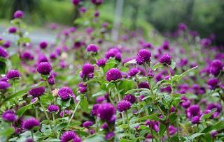 5月发朋友圈早安的句子汇编37句