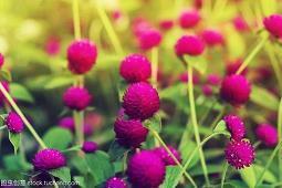 关于勇敢面对人生挫折的句子