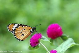 看完让人下面有水的说说 让女生起反应的句子40句