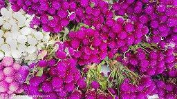 老公对老婆很失望的句子