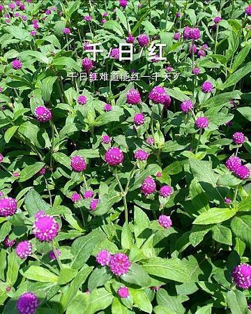 热门文案大全2022(精选86句)